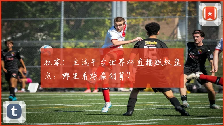 独家：主流平台世界杯直播版权盘点，哪里看球最划算？