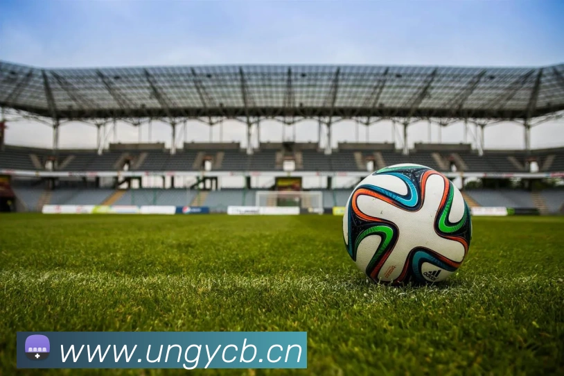 完美体育首页官网品牌故事