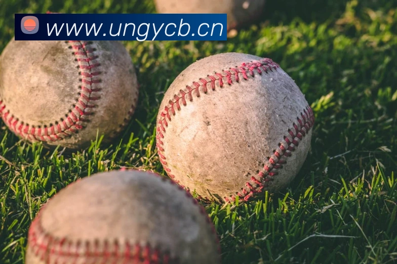 完美体育首页官网服务体系